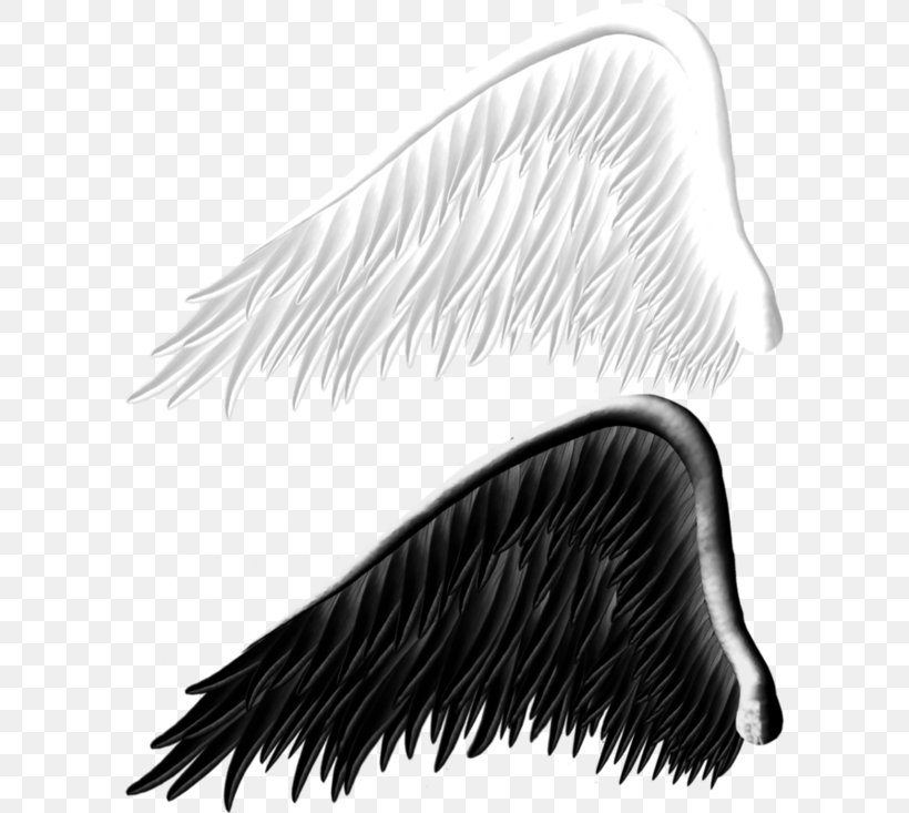 Angels Wing Devil, PNG, 600x733px, Angel, Angels, Beak, Black And White, Butterflies And Moths Download Free