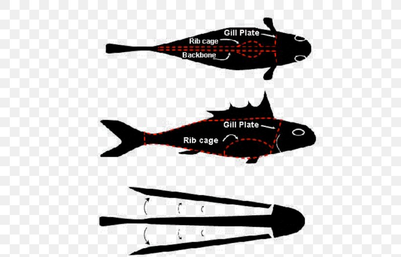 Catfish Helicopter Airplane Cleaning, PNG, 500x526px, Fish, Aircraft, Airplane, Catfish, Cleaning Download Free