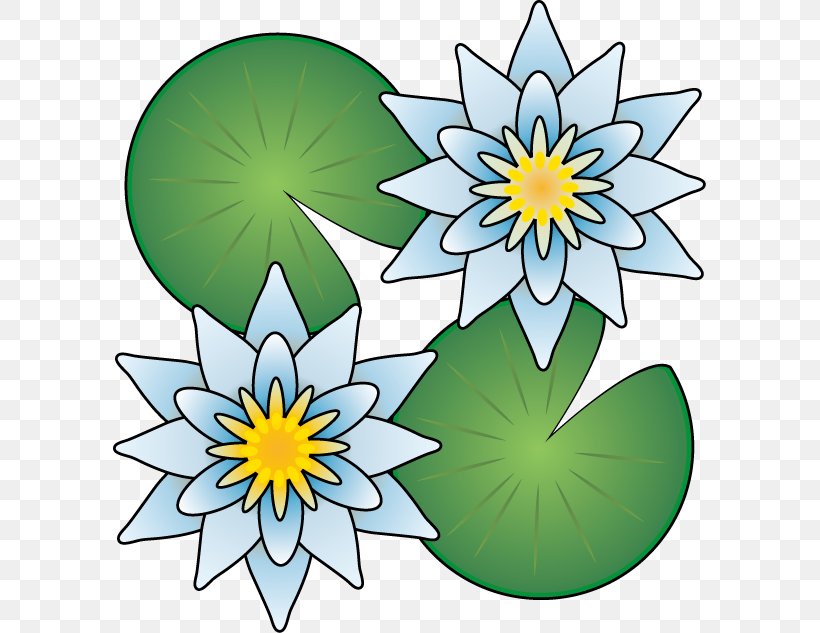 Floral Design Pygmy Water-lily Flower Clip Art, PNG, 594x633px, Floral Design, Artwork, Cut Flowers, Flora, Flower Download Free