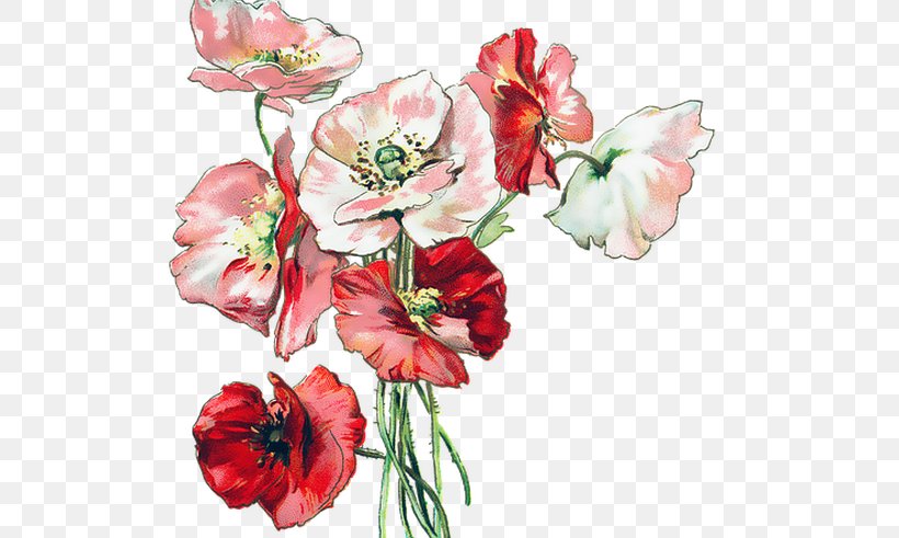 Flower Bouquet Poppy Floral Design Wildflower, PNG, 800x491px, Flower, Artificial Flower, Common Poppy, Cut Flowers, Drawing Download Free