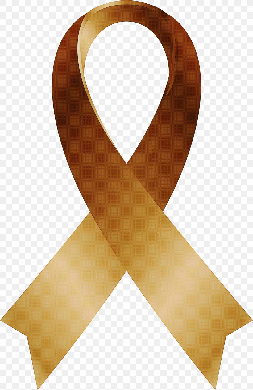 Solidarity Ribbon, PNG, 1946x3000px, Solidarity Ribbon, Meter, Ribbon Download Free