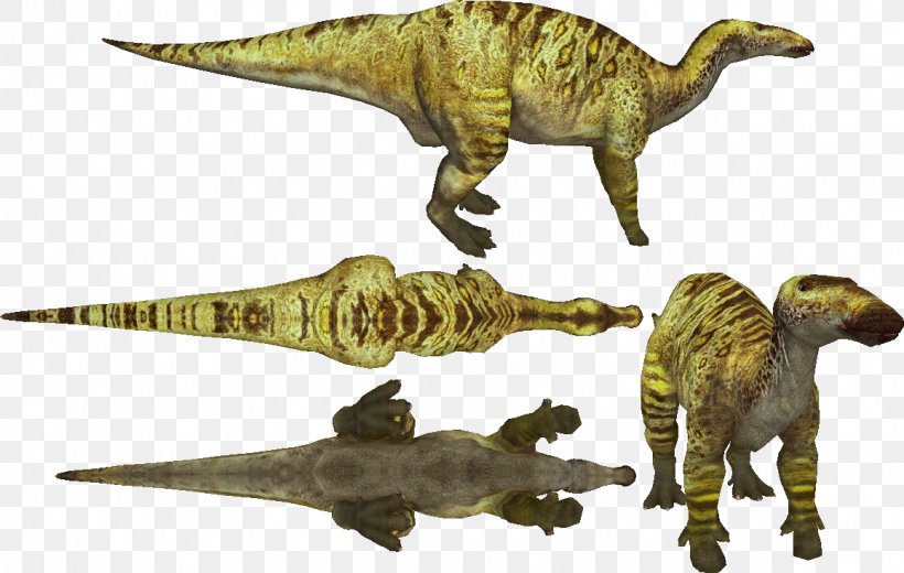 Tyrannosaurus Velociraptor Terrestrial Animal, PNG, 1158x735px, Tyrannosaurus, Animal, Animal Figure, Dinosaur, Extinction Download Free