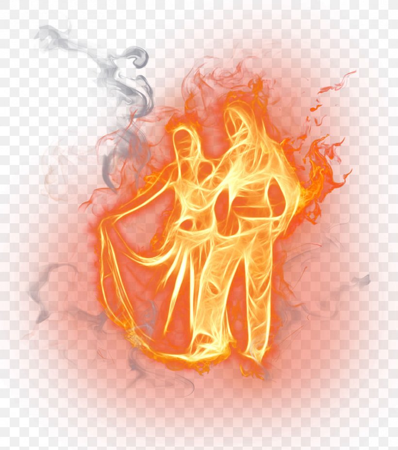 Flame Download Icon, PNG, 884x1000px, Watercolor, Cartoon, Flower, Frame, Heart Download Free