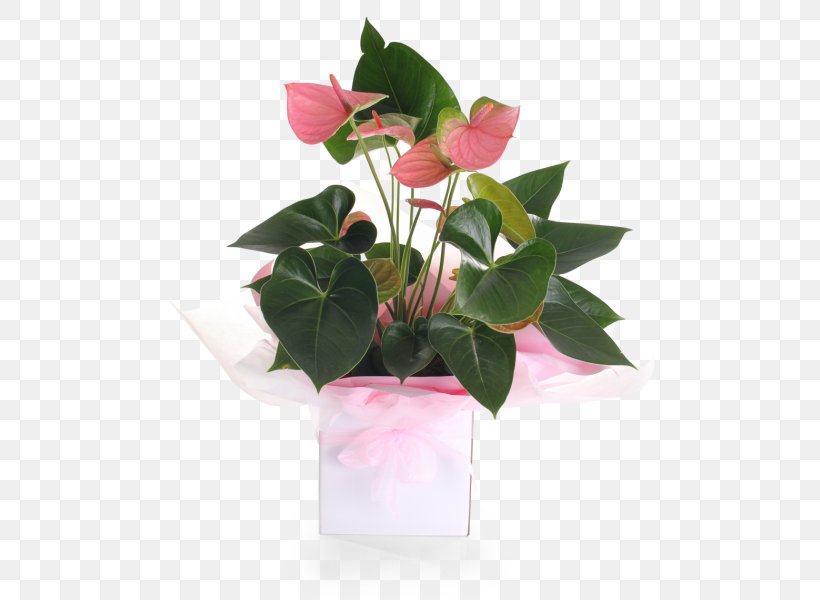 Floral Design Flowerpot Cut Flowers, PNG, 526x600px, Floral Design, Artificial Flower, Cut Flowers, Family, Flora Download Free