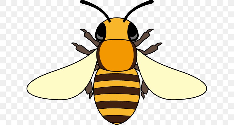 Honey Bee Hornet Insect Clip Art, PNG, 633x437px, Honey Bee, Arthropod, Artwork, Bee, Cartoon Download Free