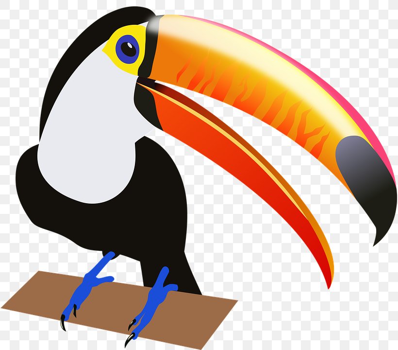 Toucan Bird Clip Art, PNG, 817x720px, Toucan, Animal, Artwork, Aviary, Beak Download Free