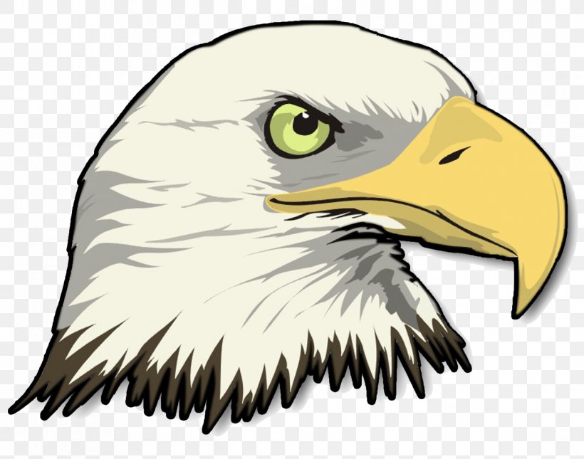 Bald Eagle Drawing Clip Art, PNG, 1267x998px, Bald Eagle, Accipitriformes, Art, Beak, Bird Download Free