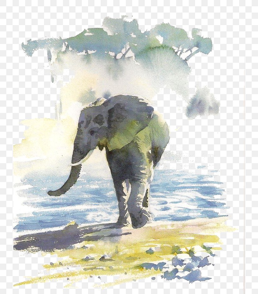 Hazel Soans African Watercolours Paper Watercolor Painting Painter, PNG, 736x937px, Paper, African Elephant, Art, Artist, Book Download Free