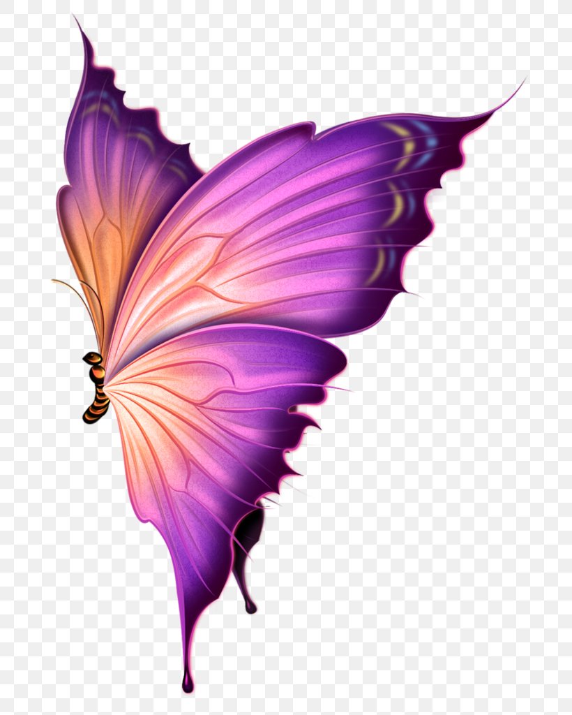 Butterfly LiveInternet Clip Art, PNG, 740x1024px, Butterfly, Android, Butterflies And Moths, Csdn, Data Download Free