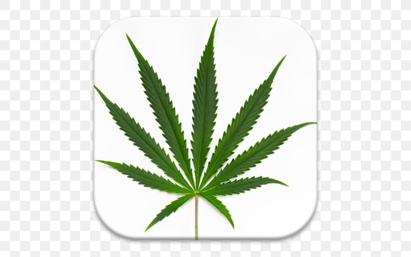 Cannabis Sativa Medical Cannabis Cannabis Ruderalis Cannabis Smoking, PNG, 512x512px, Cannabis Sativa, Cannabidiol, Cannabis, Cannabis Cultivation, Cannabis Ruderalis Download Free