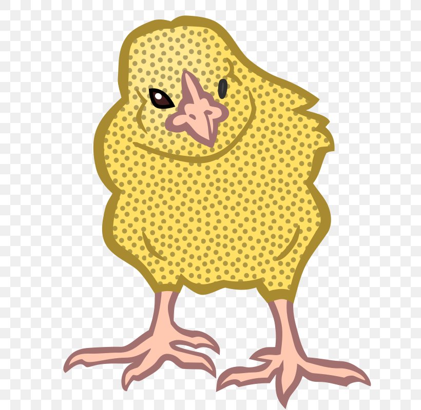 Chicken Clip Art Kifaranga Image, PNG, 774x800px, Chicken, Beak, Bird, Drawing, Fauna Download Free