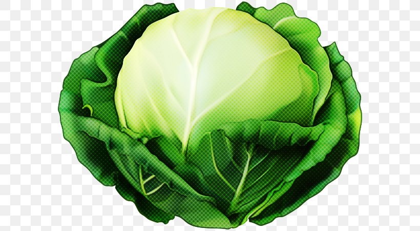 Green Cabbage Leaf Wild Cabbage Vegetable, PNG, 600x450px, Green, Cabbage, Flower, Food, Leaf Download Free