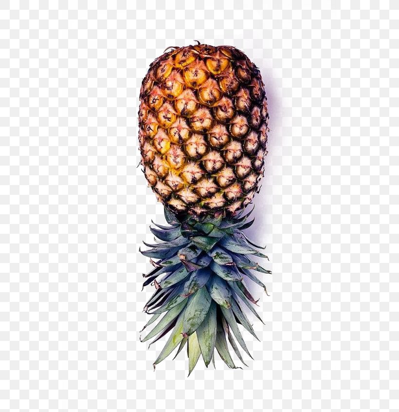IPhone 6 Plus IPhone 5s IPhone 5c Upside-down Cake Pineapple, PNG, 564x846px, Iphone 6 Plus, Ananas, Bromeliaceae, Display Resolution, Food Download Free