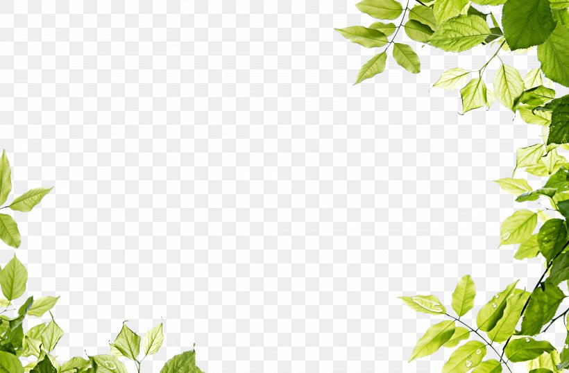 Green Leaf, PNG, 3500x2300px, Green, Branch, Flower, Grass, Leaf Download Free