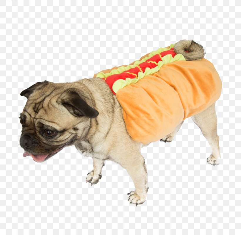 Pug Puppy Dachshund Hot Dog Dog Breed, PNG, 800x800px, Pug, Buycostumescom, Carnivoran, Clothing, Companion Dog Download Free