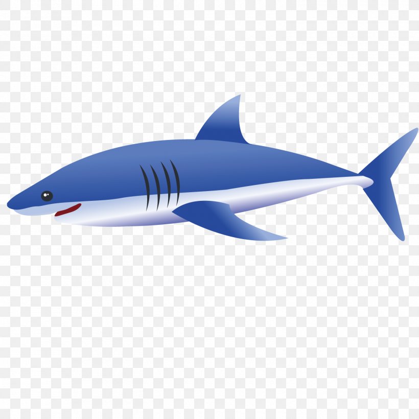 Tiger Shark Euclidean Vector Blue Shark, PNG, 1500x1500px, Tiger Shark, Blue, Blue Shark, Cartilaginous Fish, Deep Blue Sea Download Free