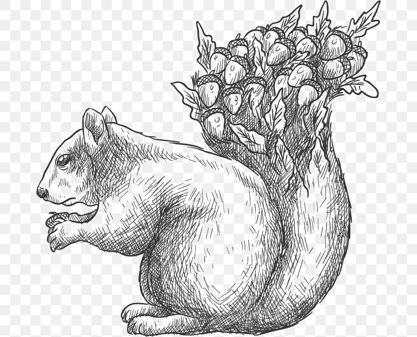 Drawing Euclidean Vector Tree Squirrel Acorn, PNG, 678x663px, Drawing, Acorn, Art, Bear, Black And White Download Free