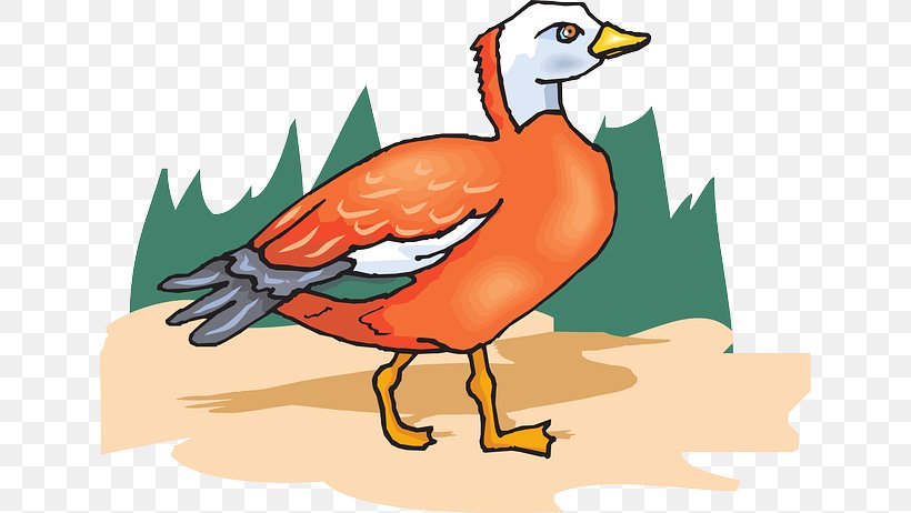 Duck Goose Bird Clip Art, PNG, 640x462px, Duck, Animation, Art, Beak, Bird Download Free