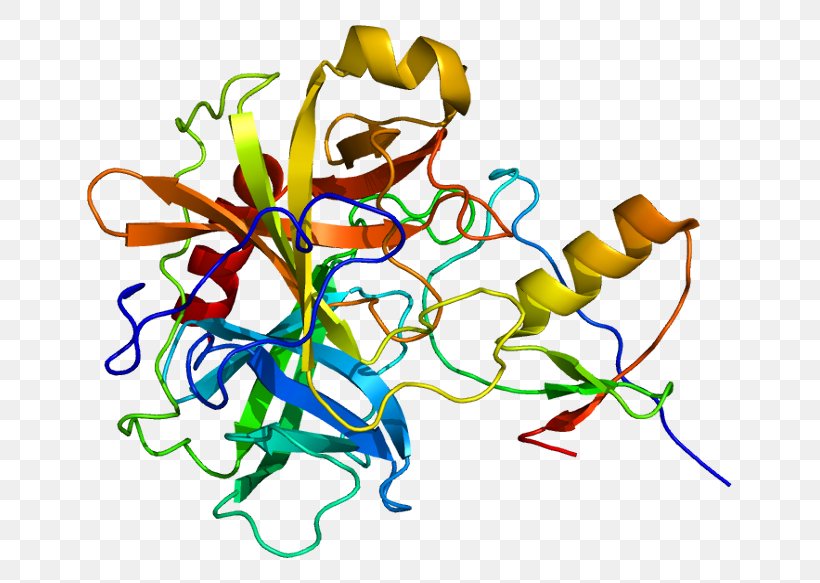 Homology Modeling Protein Structure Prediction, PNG, 695x583px, Homology Modeling, Amino Acid, Area, Art, Artwork Download Free