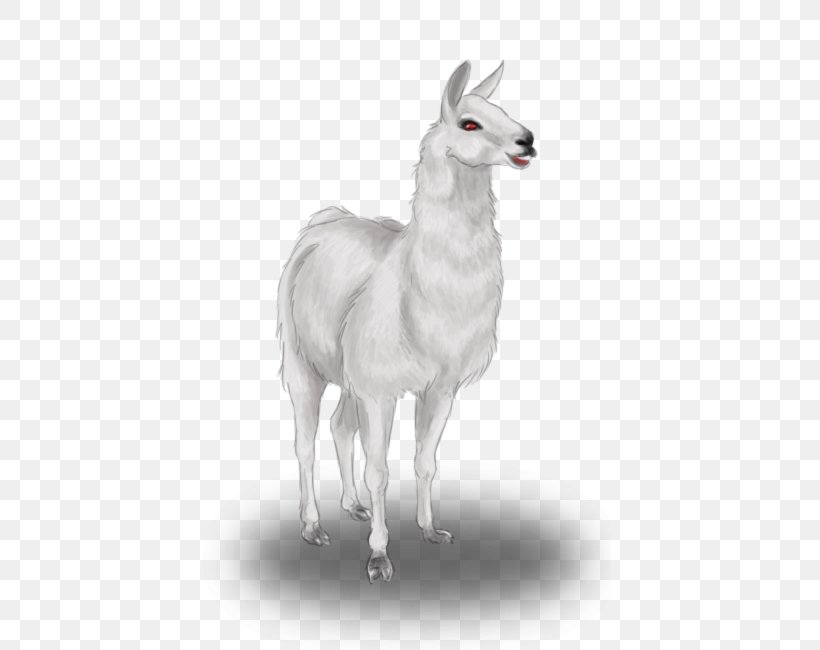 Llama Drawing Pack Animal Animal Husbandry, PNG, 461x650px, Llama, Albinism, Animal, Animal Husbandry, Black And White Download Free