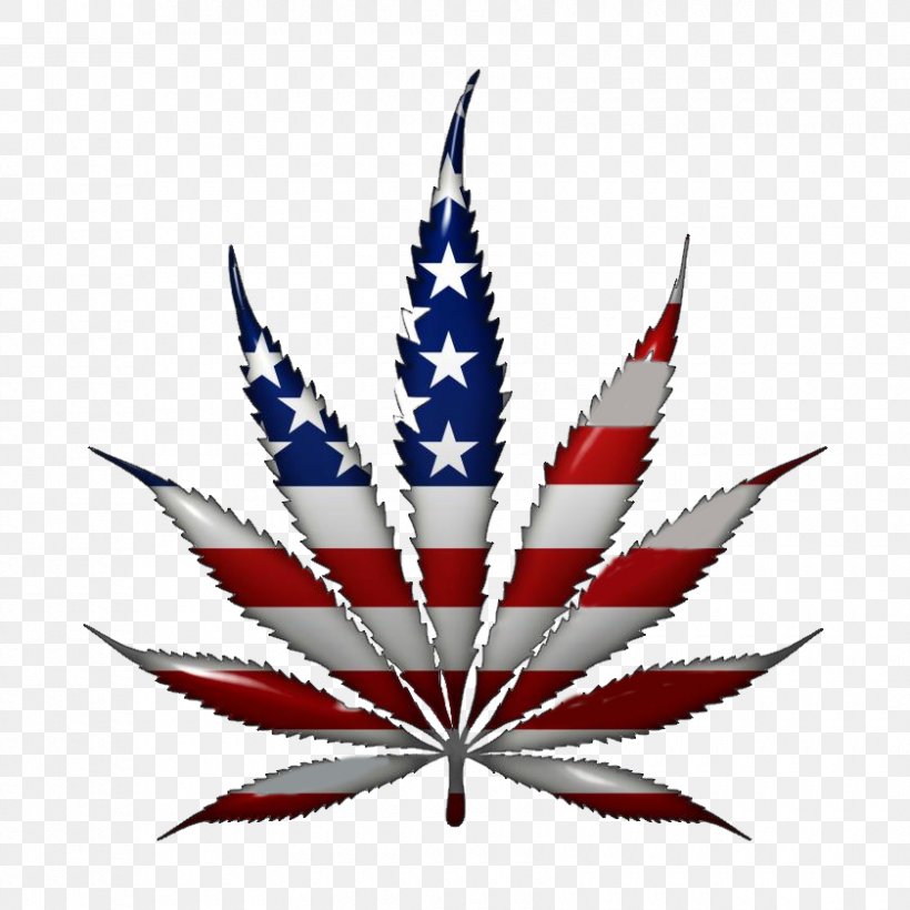 United States Medical Cannabis Legality Of Cannabis Cannabis Smoking, PNG, 840x840px, 420 Day, United States, Cannabidiol, Cannabis, Cannabis Industry Download Free