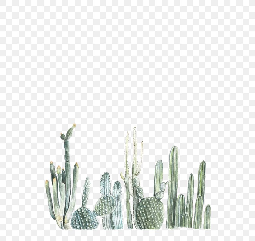 Cactaceae Watercolor Painting Printmaking Illustration, PNG, 564x775px, Cactaceae, Art, Botanical Illustration, Cactus, Caryophyllales Download Free