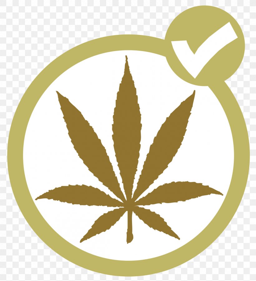Canada Canadian Federal Election, 2015 Canadian Federal Election, 2008 Canadian Federal Election, 2006 Marijuana Party, PNG, 1200x1320px, Canada, Canadian Federal Election 2006, Canadian Federal Election 2008, Canadian Federal Election 2015, Candidate Download Free