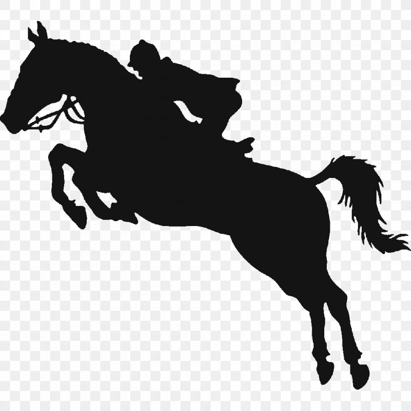 Horse Show Equestrian Show Jumping, PNG, 1000x1000px, Horse, Black And White, Bridle, Colt, Decal Download Free