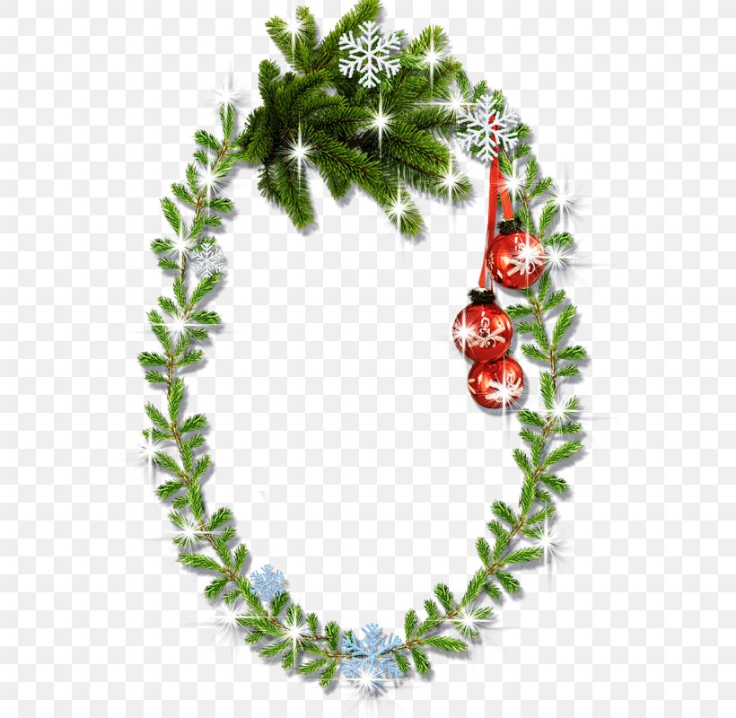 Picture Frames Christmas Decoration Holiday Clip Art, PNG, 565x800px, Picture Frames, Aquifoliaceae, Branch, Christmas, Christmas And Holiday Season Download Free