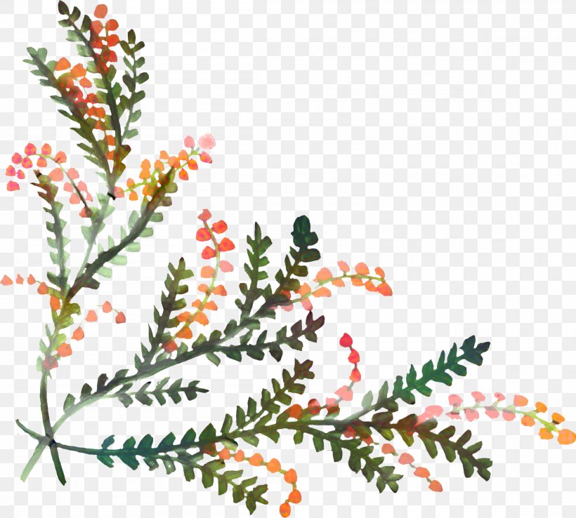 Watercolor Christmas Tree, PNG, 2307x2078px, Christmas Day, American Larch, Christmas Decoration, Christmas Tree, Colorado Spruce Download Free