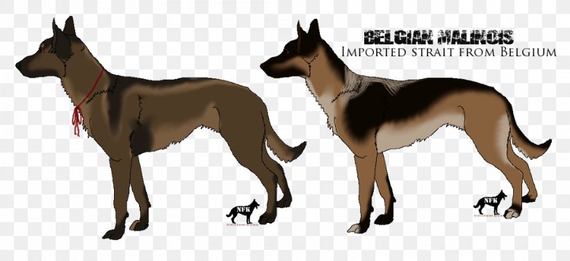 Dog Breed Malinois Dog German Shepherd Animal, PNG, 1000x459px, Dog Breed, Animal, Art, Breed, Carnivoran Download Free