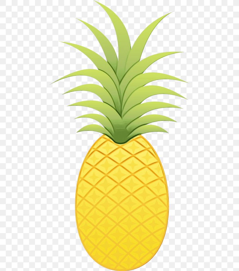 Food Icon Background, PNG, 480x930px, Watercolor, Ananas, Bromeliaceae, Flowering Plant, Food Download Free