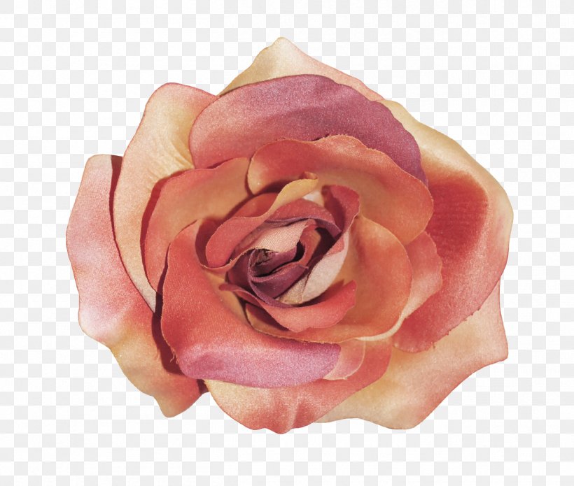 Garden Roses Poster Flower, PNG, 1308x1110px, Garden Roses, Cut Flowers, Flower, Flower Bouquet, Peach Download Free