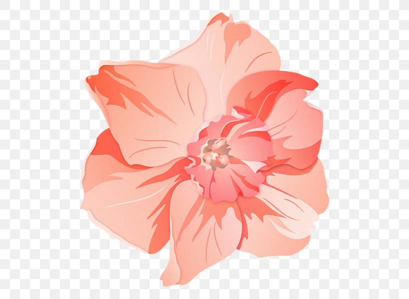 Hibiscus Pink M Family Herbaceous Plant, PNG, 600x600px, Hibiscus, Family, Family Film, Flower, Flowering Plant Download Free