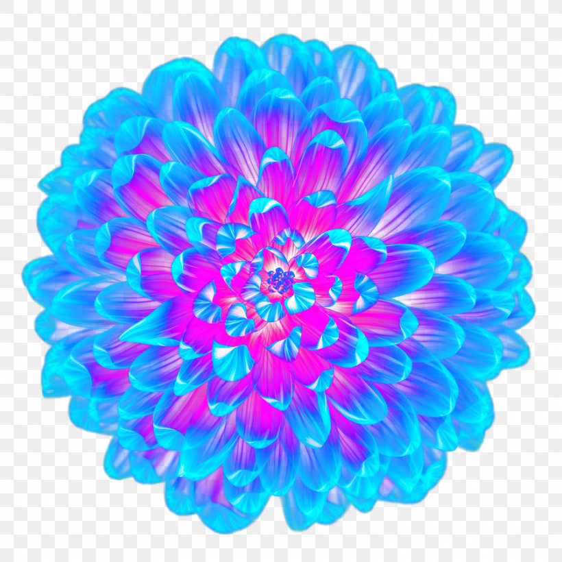 Light Blue Flower Purple, PNG, 900x900px, Light, Aqua, Blue, Blue Flower, Blue Rose Download Free