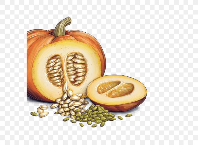 Pumpkin Bread Squash Soup Pumpkin Pie Pumpkin Seed, PNG, 600x600px, Pumpkin Bread, Calabaza, Calorie, Commodity, Cucumber Gourd And Melon Family Download Free