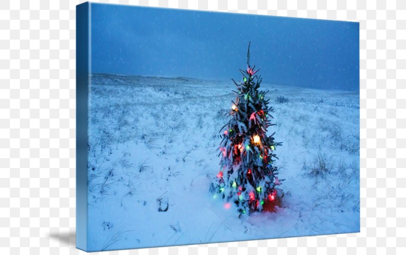 Christmas Tree Cape Cod Chatham Christmas Day Nantucket, PNG, 650x516px, Christmas Tree, Art, Beach, Canvas, Cape Download Free