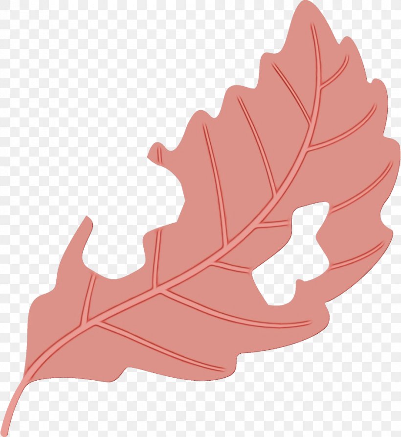 Leaf Red Tree Pink Plant, PNG, 940x1024px, Watercolor, Leaf, Paint, Pink, Plant Download Free
