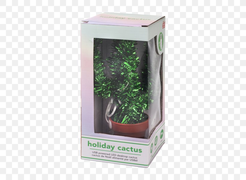 Schlumbergera Cactaceae Christmas Holiday Gift, PNG, 600x600px, Schlumbergera, Cactaceae, Christmas, Flowerpot, Gift Download Free