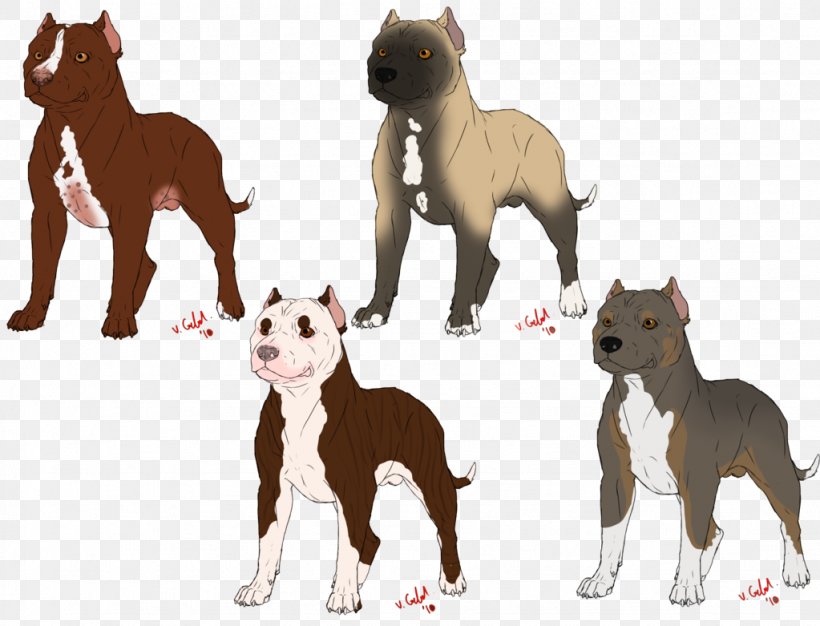 American Bully American Pit Bull Terrier American Bulldog, PNG, 1023x781px, American Bully, American Bulldog, American Pit Bull Terrier, Animal, Bull Terrier Download Free