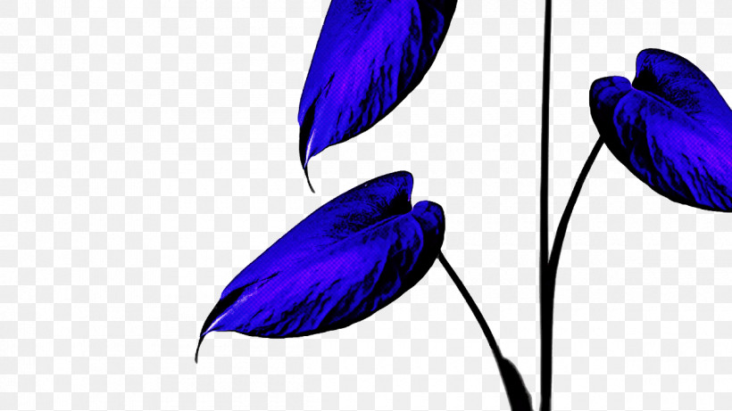Feather, PNG, 1200x675px, Cobalt Blue, Cobalt, Feather, Flower Download Free