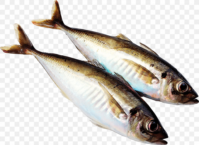 Fish Fish Fish Products Herring Oily Fish, PNG, 2003x1454px, Fish, Anchovy, Bonyfish, Capelin, Fish Products Download Free