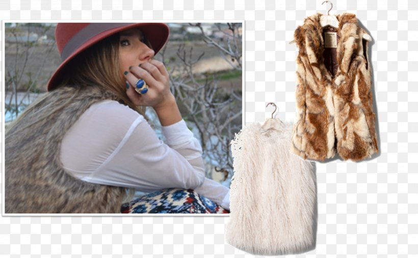 Fur Clothing Outerwear Sleeve, PNG, 1600x990px, Fur, Clothing, Fur Clothing, Long Hair, Neck Download Free