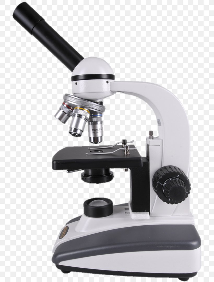 Optical Microscope Magnification Light Digital Microscope, PNG, 773x1080px, Optical Microscope, Convex, Digital Microscope, Eyepiece, Focal Length Download Free