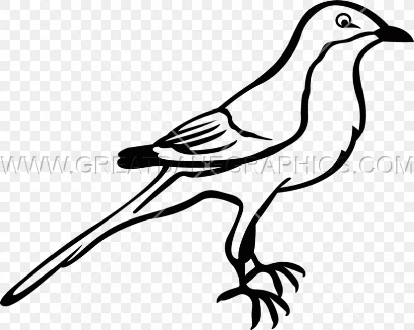 To Kill A Mockingbird Drawing Northern Mockingbird Clip Art, PNG, 825x658px, Mockingbird, Art, Artwork, Beak, Bird Download Free
