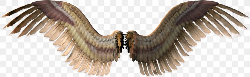 Wing Clip Art, PNG, 1505x468px, Wing, Angel Wing, Beak, Bird, Bird Of Prey Download Free