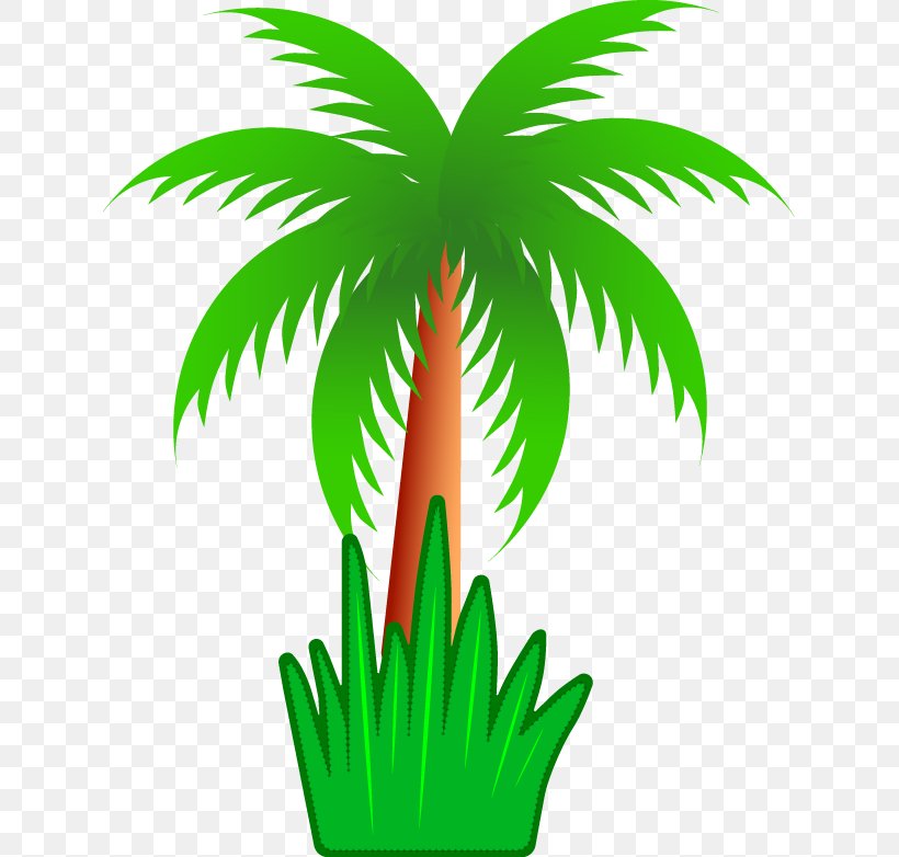 Arecaceae Tree Coconut Clip Art, PNG, 631x782px, Arecaceae, Arecales, Cartoon, Coconut, Date Palm Download Free