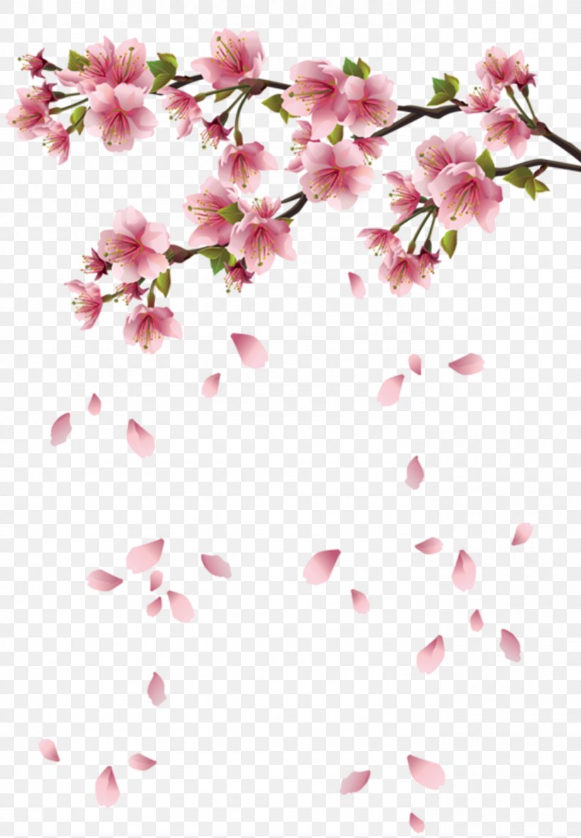 Cherry Blossom Flower Petal, PNG, 1386x2000px, Blossom, Branch, Cherry Blossom, Cut Flowers, East Asian Cherry Download Free