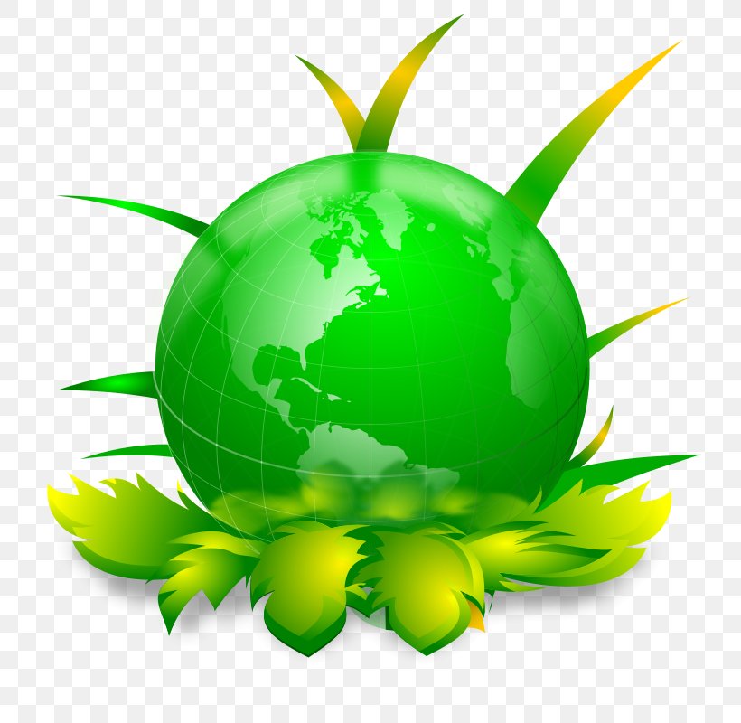 Environmentally Friendly Clip Art, PNG, 800x800px, Environmentally Friendly, Ecology, Fruit, Grass, Green Download Free