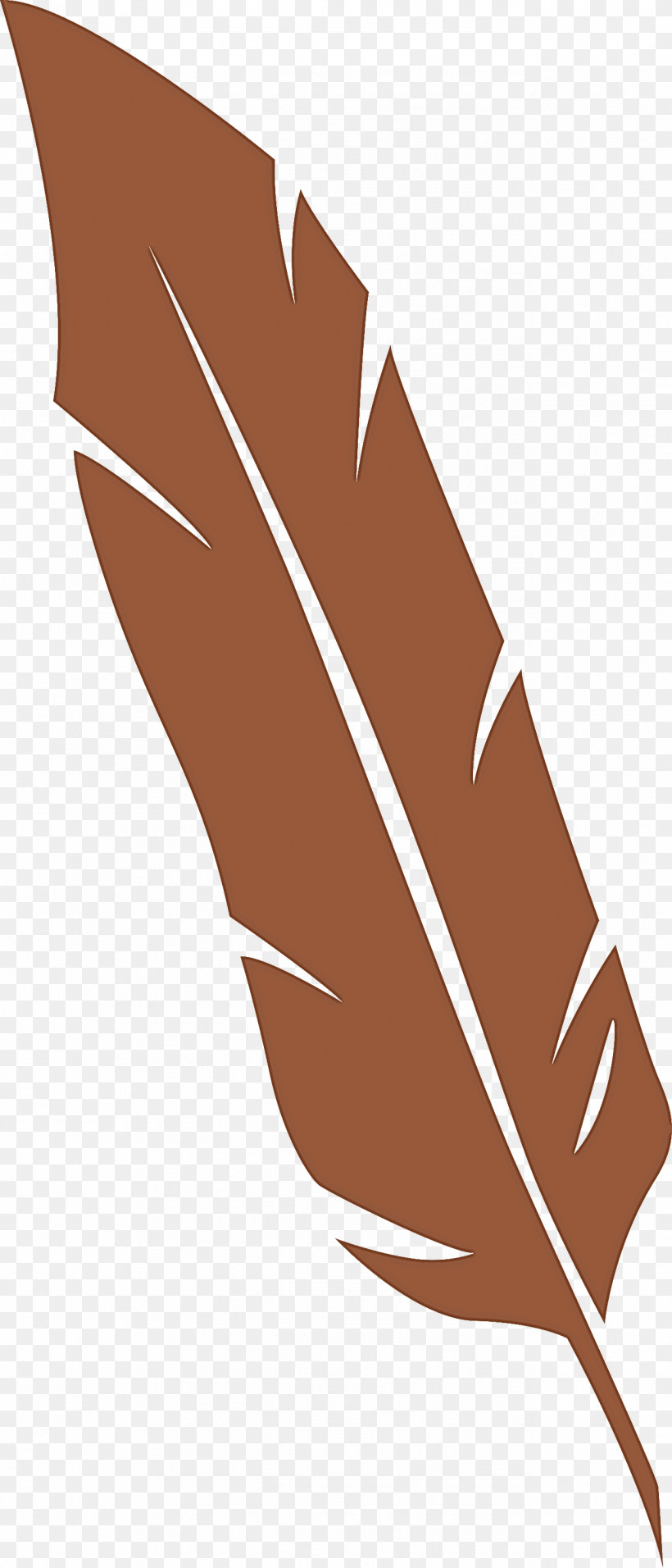Feather, PNG, 1286x3000px, Feather, Biology, Leaf, Leaf Angle Distribution, Line Download Free